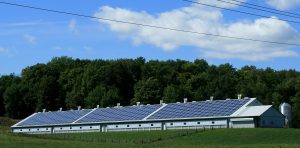 solar panel business